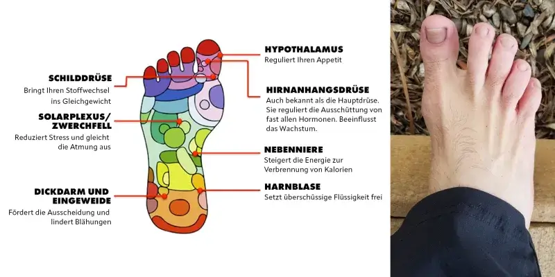 Reflexology feet split C SM DE