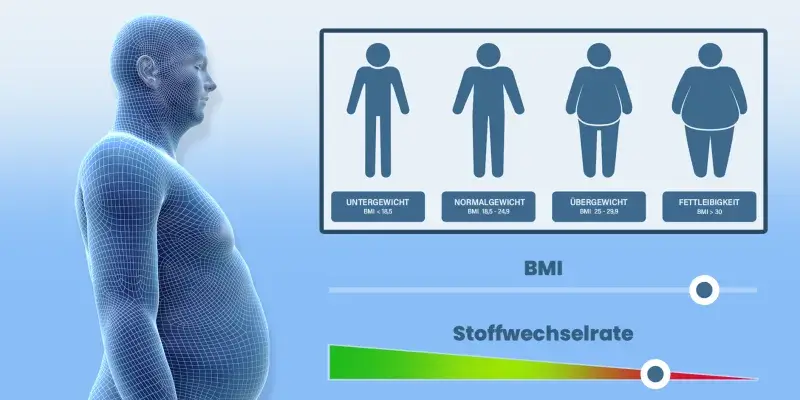 Metabolism bmi C SM DE